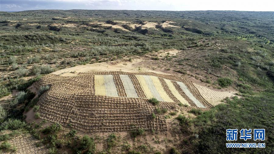 （在習近平新時代中國特色社會主義思想指引下&mdash;&mdash;新時代新作為新篇章&middot;總書記關(guān)切高質(zhì)量發(fā)展&middot;圖文互動）（1）從一粒沙看不斷擴大的中國綠色版圖