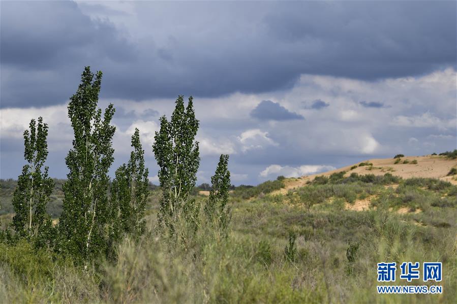 （在習近平新時代中國特色社會主義思想指引下&mdash;&mdash;新時代新作為新篇章&middot;總書記關(guān)切高質(zhì)量發(fā)展&middot;圖文互動）（2）從一粒沙看不斷擴大的中國綠色版圖