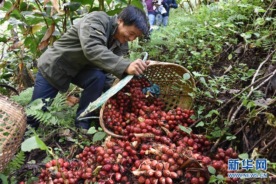 （在習(xí)近平新時(shí)代中國(guó)特色社會(huì)主義思想指引下&mdash;&mdash;新時(shí)代新作為新篇章&middot;總書記關(guān)切脫貧事&middot;決勝貧困&middot;圖文互動(dòng)）（5）讓一方水土&ldquo;富養(yǎng)&rdquo;一方人&mdash;&mdash;扶貧特色產(chǎn)業(yè)惠及千家萬(wàn)戶