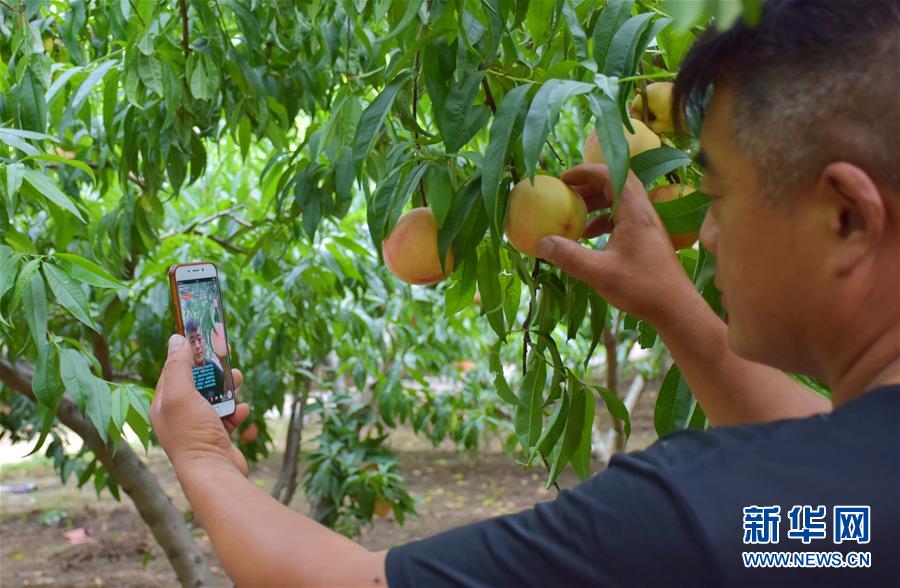 （在習(xí)近平新時(shí)代中國(guó)特色社會(huì)主義思想指引下&mdash;&mdash;新時(shí)代新作為新篇章&middot;總書記關(guān)切脫貧事&middot;決勝貧困&middot;圖文互動(dòng)）（6）讓一方水土&ldquo;富養(yǎng)&rdquo;一方人&mdash;&mdash;扶貧特色產(chǎn)業(yè)惠及千家萬(wàn)戶