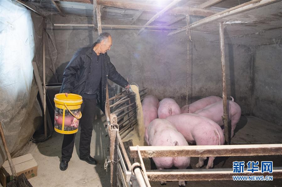 (圖文互動)(5)從“輕工漁網(wǎng)重工馬掌”到“圓夢小康”——“中國東極”脫貧攻堅剪影