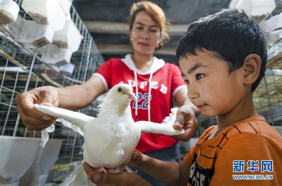 (新華全媒頭條·聚焦中國(guó)經(jīng)濟(jì)成績(jī)單·圖文互動(dòng))(10)為全面建成小康社會(huì)奠定堅(jiān)實(shí)基礎(chǔ)——從2019年數(shù)據(jù)看中國(guó)經(jīng)濟(jì)發(fā)展大勢(shì)