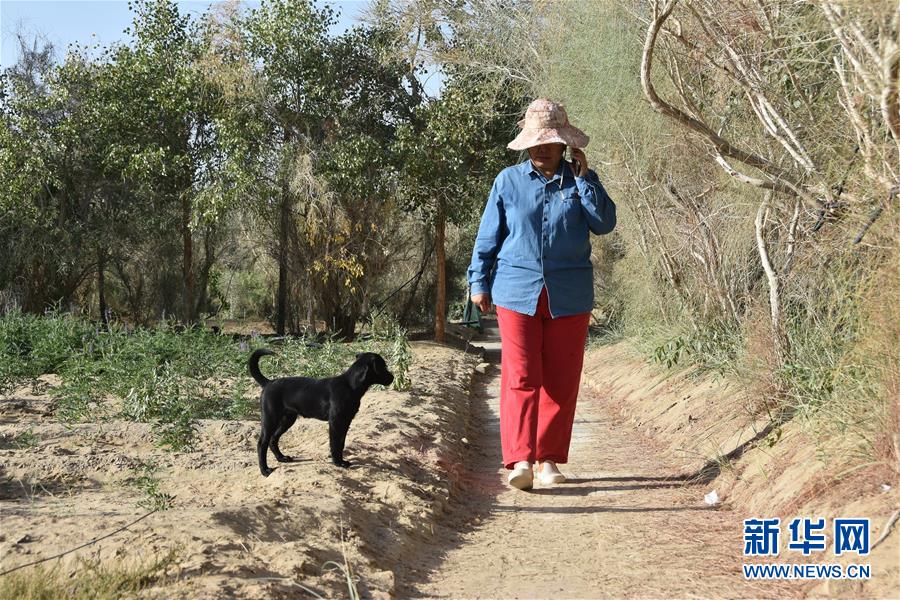 （新華全媒頭條&middot;圖文互動）（9）塔克拉瑪干的&ldquo;播綠使者&rdquo;&mdash;&mdash;中科院新疆生態(tài)與地理研究所高級工程師常青的故事