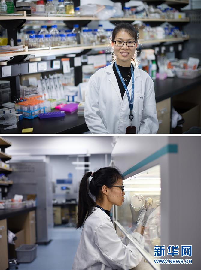 （新華全媒頭條&middot;圖文互動）（1）創(chuàng)造中華民族的偉大歷史時間&mdash;&mdash;寫在農(nóng)歷庚子鼠年春節(jié)到來之際 