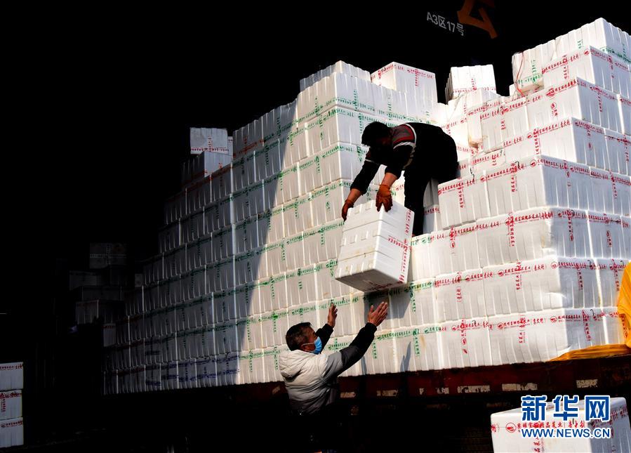 （聚焦疫情防控&middot;圖文互動(dòng)）（4）吃的東西充足，做點(diǎn)花樣菜吧！&mdash;&mdash;中部地區(qū)最大農(nóng)產(chǎn)品批發(fā)市場(chǎng)見(jiàn)聞 