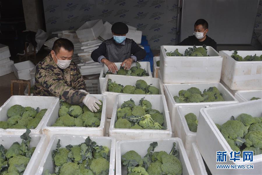 (做好六穩(wěn)工作 應(yīng)對(duì)復(fù)雜局面·圖文互動(dòng))(2)穩(wěn)住“菜籃子” 守住“好日子”