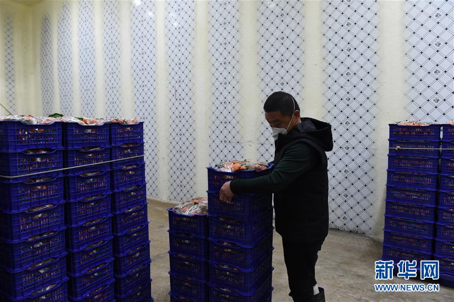 (圖文互動)(7)與疫情抗?fàn)?與春光同行——廣西農(nóng)村春耕備耕一線觀察