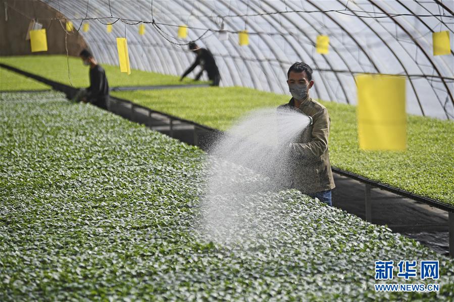 (新華全媒頭條·圖文互動)(12)磨難壓不垮 奮起正當時——習近平總書記在統(tǒng)籌推進新冠肺炎疫情防控和經(jīng)濟社會發(fā)展工作部署會議上的重要講話振奮人心凝聚力量