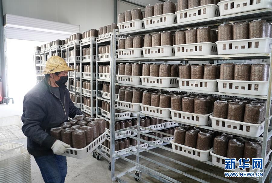 （決戰(zhàn)決勝脫貧攻堅(jiān)&middot;圖文互動(dòng)）（1）秦巴山區(qū)：戰(zhàn)疫戰(zhàn)貧，兩場仗都要打贏