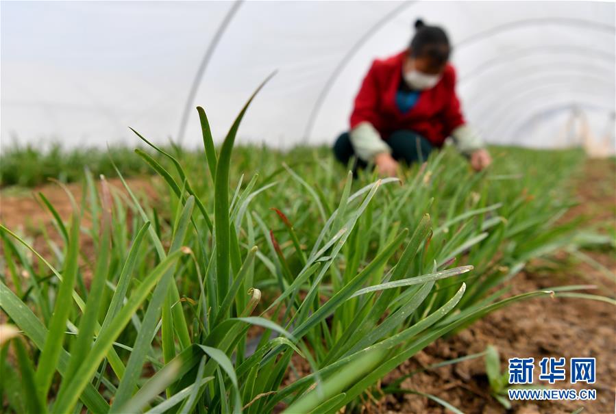 （圖文互動）（3）&ldquo;春天到了，熟悉的生活正在慢慢回來&rdquo;&mdash;&mdash;陜西多地復(fù)產(chǎn)復(fù)工一線見聞