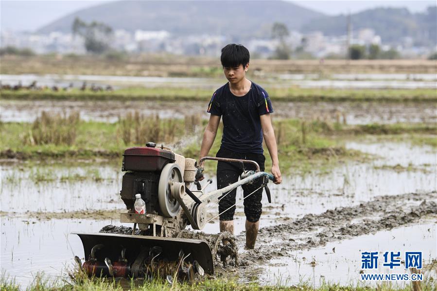 (社會)(1)廣西桂平:春耕正當(dāng)時