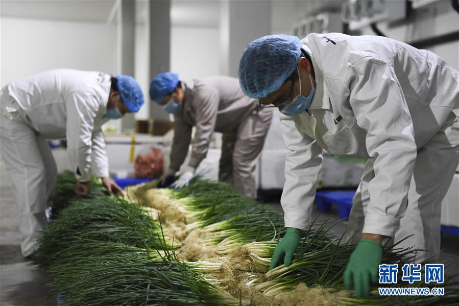 （圖文互動）（6）&ldquo;早一天復(fù)工，損失就少一點(diǎn)&rdquo;&mdash;&mdash;廣西以精準(zhǔn)防控推動復(fù)工復(fù)產(chǎn)一線見聞