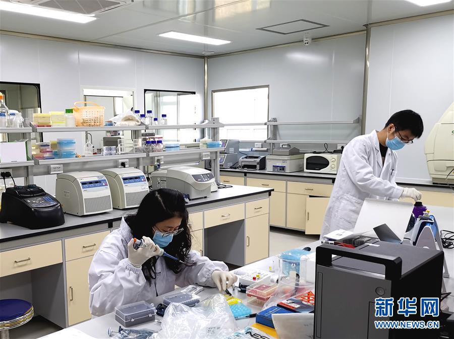 (在習近平新時代中國特色社會主義思想指引下——新時代新作為新篇章·習近平總書記關切事·圖文互動)(5)高擎利劍驅(qū)疫魔——科研攻關助力湖北戰(zhàn)“疫”記