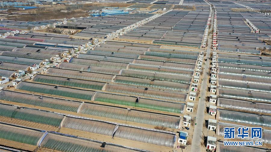 （在習近平新時代中國特色社會主義思想指引下&mdash;&mdash;新時代新作為新篇章&middot;習近平總書記關(guān)切事&middot;圖文互動）（4）戰(zhàn)&ldquo;疫&rdquo;戰(zhàn)&ldquo;貧&rdquo;都要贏&mdash;&mdash;脫貧攻堅一線打響兩場硬仗