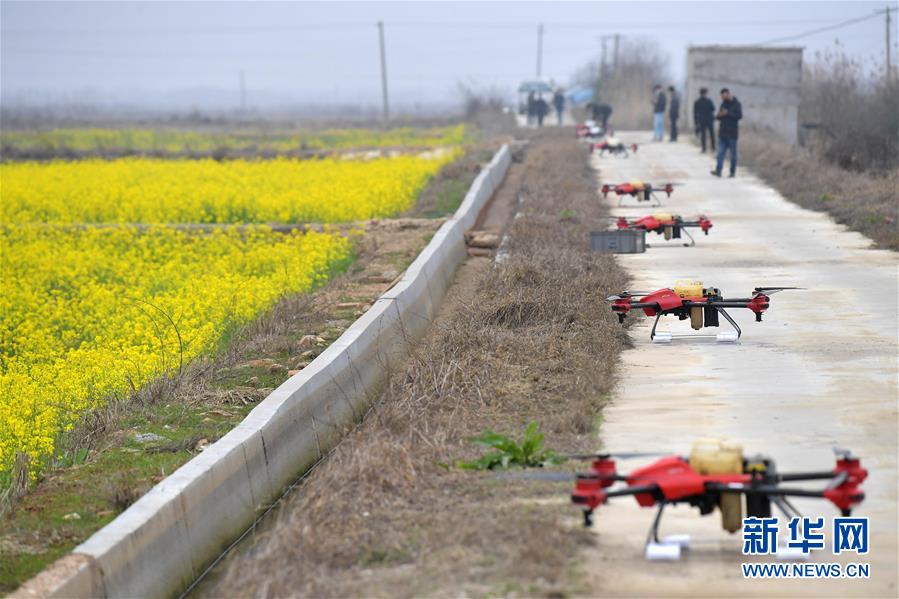 （抓好春耕備耕 穩(wěn)住農(nóng)業(yè)生產(chǎn)&middot;圖文互動）（4）智能農(nóng)機、&ldquo;訂單&rdquo;服務、&ldquo;云端&rdquo;種菜&mdash;&mdash;來自江西的春耕&ldquo;新事&rdquo;