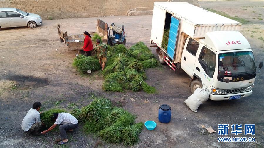 （決戰(zhàn)決勝脫貧攻堅(jiān)&middot;圖文互動(dòng)）（2）三訪長(zhǎng)征村