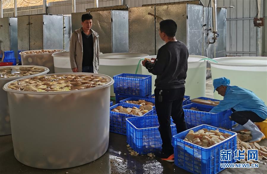 （決戰(zhàn)決勝脫貧攻堅&middot;圖文互動）掛牌督戰(zhàn)，一個都不能少&mdash;&mdash;江西確保剩余9.6萬貧困人口全部脫貧