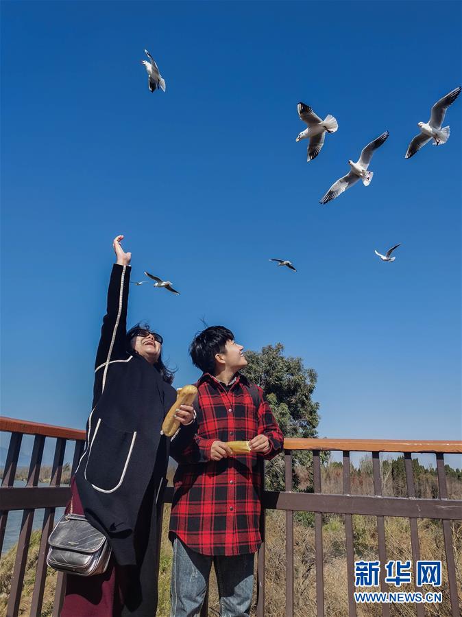 （一線抗疫群英譜&middot;圖文互動）（1）大學生志愿者譚藝西：在武漢，我和媽媽共戰(zhàn)&ldquo;疫&rdquo;