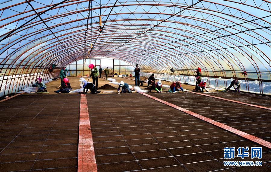 （在習近平新時代中國特色社會主義思想指引下&mdash;&mdash;新時代新作為新篇章&middot;習近平總書記關(guān)切事&middot;圖文互動）（5）希望的田野，希望的春天&mdash;&mdash;各地農(nóng)業(yè)生產(chǎn)新動態(tài)掃描