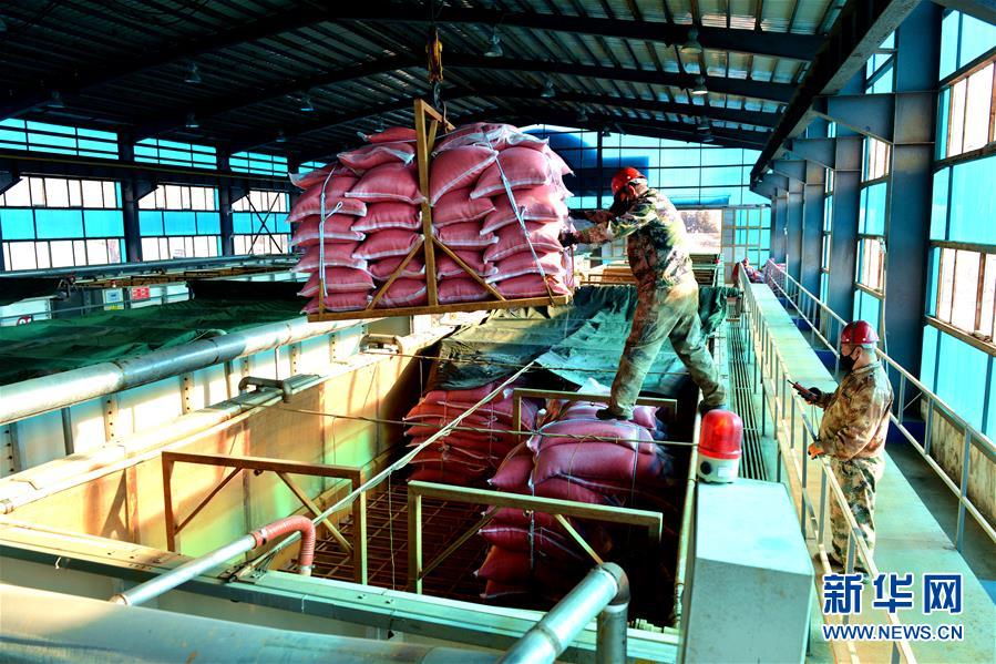 （在習近平新時代中國特色社會主義思想指引下&mdash;&mdash;新時代新作為新篇章&middot;習近平總書記關(guān)切事&middot;圖文互動）（6）希望的田野，希望的春天&mdash;&mdash;各地農(nóng)業(yè)生產(chǎn)新動態(tài)掃描