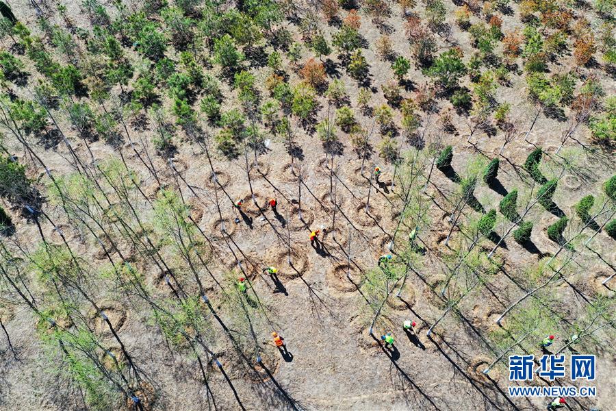 （新華全媒頭條&middot;圖文互動(dòng)）（5）雄安畫(huà)卷徐徐鋪展　&ldquo;未來(lái)之城&rdquo;蓄勢(shì)待發(fā)&mdash;&mdash;雄安新區(qū)設(shè)立三周年巡禮