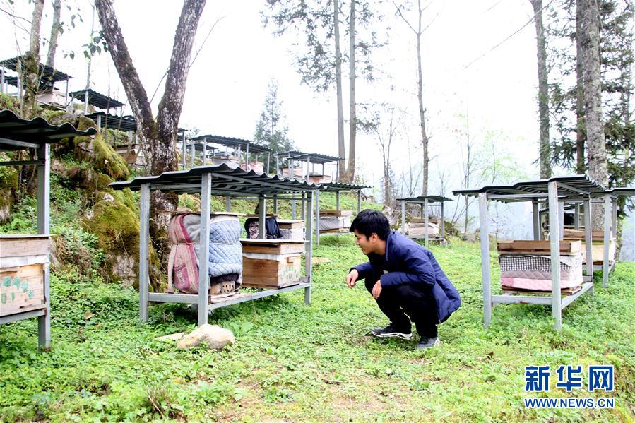 （決戰(zhàn)決勝脫貧攻堅&middot;圖文互動）（3）寄相思，償夙愿&mdash;&mdash;5封清明&ldquo;家書&rdquo;里的決戰(zhàn)決勝信念