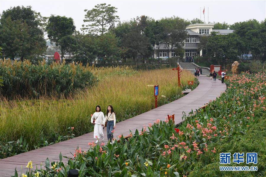 （新華全媒頭條&middot;圖文互動）（4）為有源頭清水來&mdash;&mdash;深圳&ldquo;馴水記&rdquo;