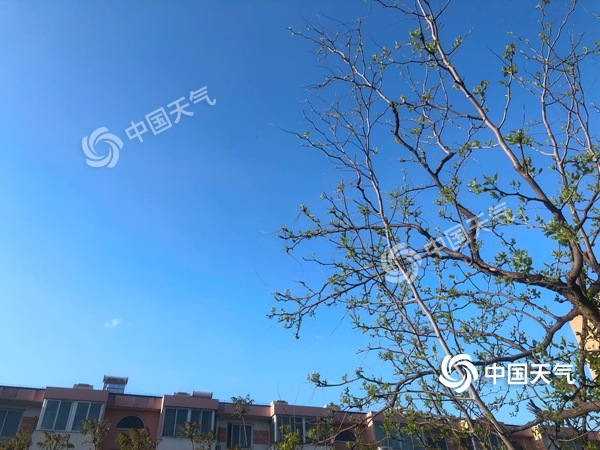 陣風(fēng)8級(jí)！北京遭遇雨后大降溫 北風(fēng)勁吹需添衣