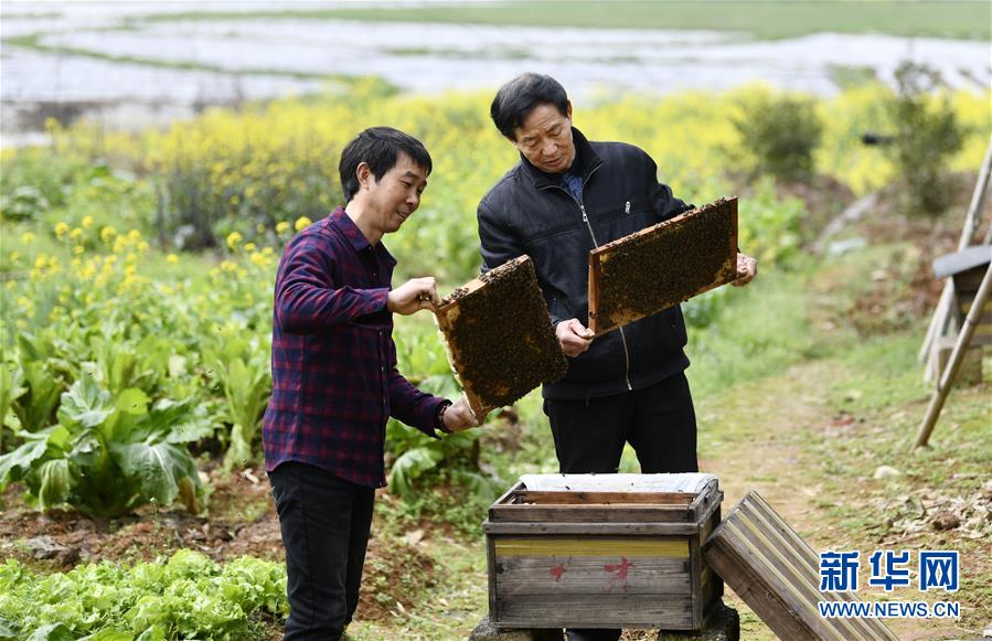 (決戰(zhàn)決勝脫貧攻堅(jiān)·圖文互動)(2)一位農(nóng)民的產(chǎn)業(yè)扶貧成績單