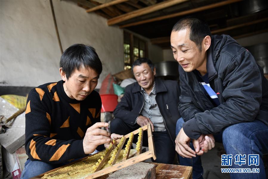 (決戰(zhàn)決勝脫貧攻堅(jiān)·圖文互動)(3)一位農(nóng)民的產(chǎn)業(yè)扶貧成績單