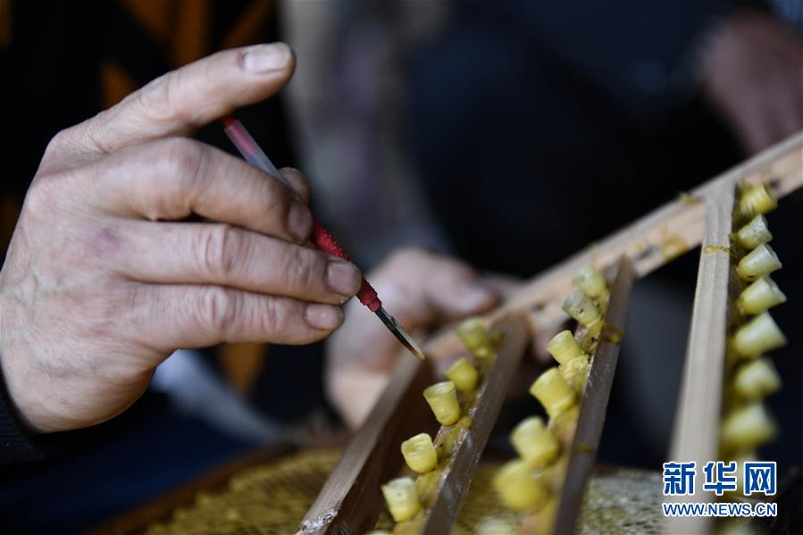 (決戰(zhàn)決勝脫貧攻堅(jiān)·圖文互動)(4)一位農(nóng)民的產(chǎn)業(yè)扶貧成績單