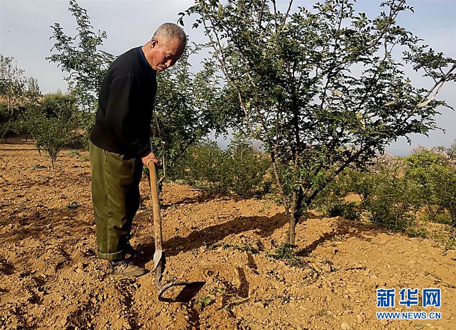 (新華全媒頭條·圖文互動(dòng))(4)春天里的5個(gè)“戰(zhàn)貧”瞬間——習(xí)近平總書(shū)記關(guān)于脫貧攻堅(jiān)決策部署指引攻克最后的深貧堡壘