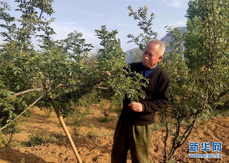 (新華全媒頭條·圖文互動(dòng))(5)春天里的5個(gè)“戰(zhàn)貧”瞬間——習(xí)近平總書(shū)記關(guān)于脫貧攻堅(jiān)決策部署指引攻克最后的深貧堡壘