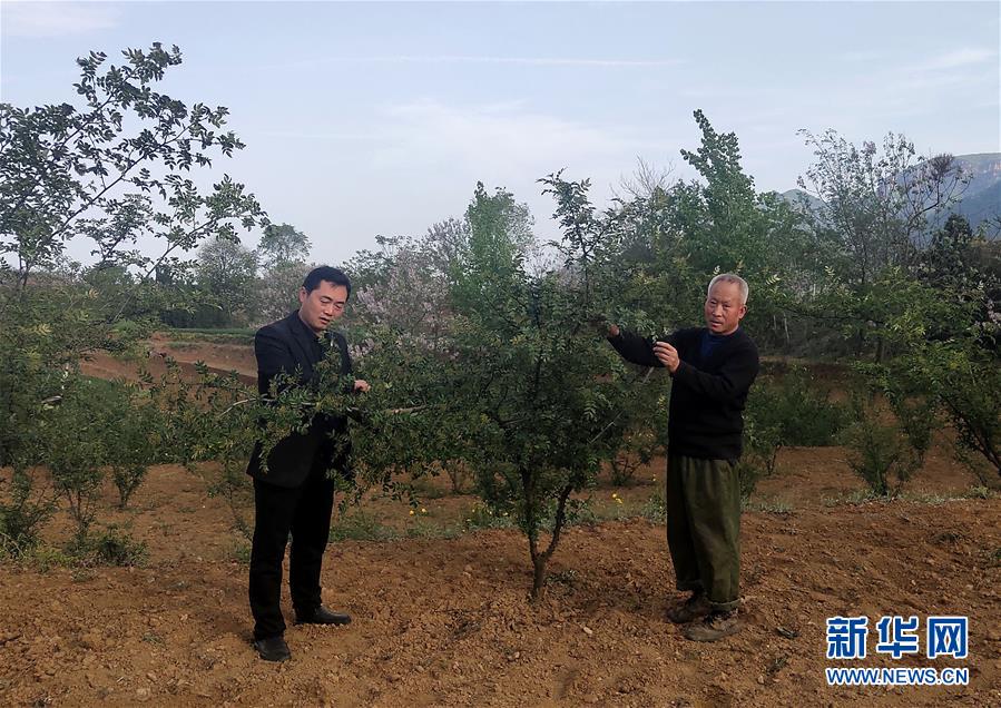 (新華全媒頭條·圖文互動(dòng))(6)春天里的5個(gè)“戰(zhàn)貧”瞬間——習(xí)近平總書(shū)記關(guān)于脫貧攻堅(jiān)決策部署指引攻克最后的深貧堡壘