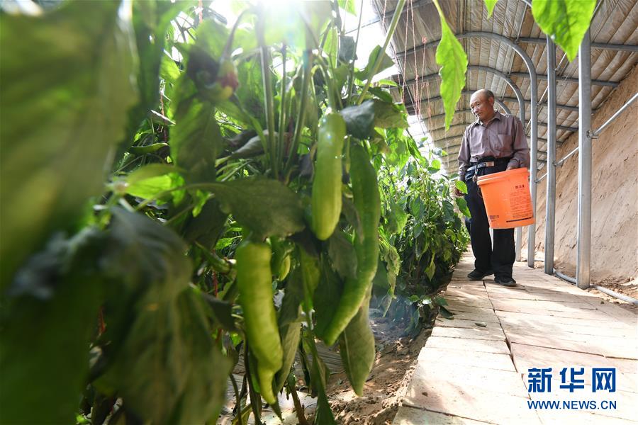 (新華全媒頭條·圖文互動(dòng))(15)春天里的5個(gè)“戰(zhàn)貧”瞬間——習(xí)近平總書(shū)記關(guān)于脫貧攻堅(jiān)決策部署指引攻克最后的深貧堡壘