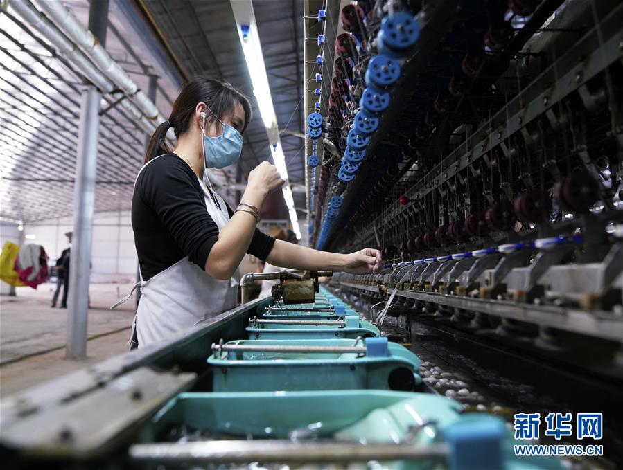 (決戰(zhàn)決勝脫貧攻堅(jiān)·圖文互動(dòng))(4)貧困戶的“收入賬”——廣西極貧縣隆林各族自治縣見聞