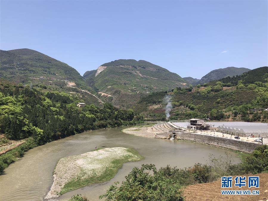 (決戰(zhàn)決勝脫貧攻堅(jiān)·圖文互動(dòng))(1)野奶角又見(jiàn)春天