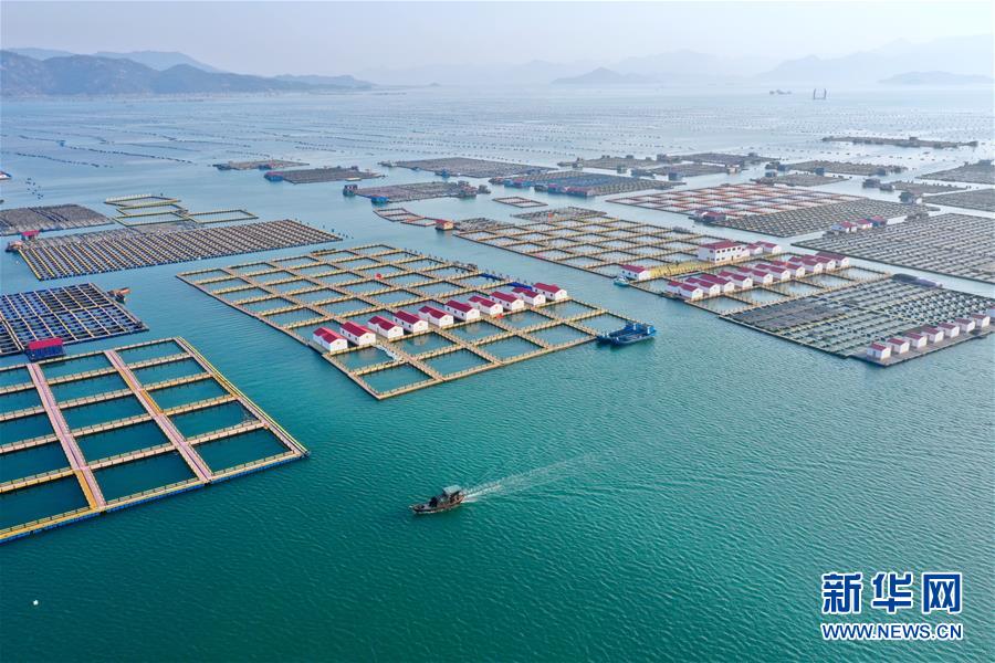 (新華全媒頭條·圖文互動(dòng))(10)永遠(yuǎn)的夢(mèng)想 永恒的追求——寫(xiě)在北京世園會(huì)開(kāi)幕一周年之際