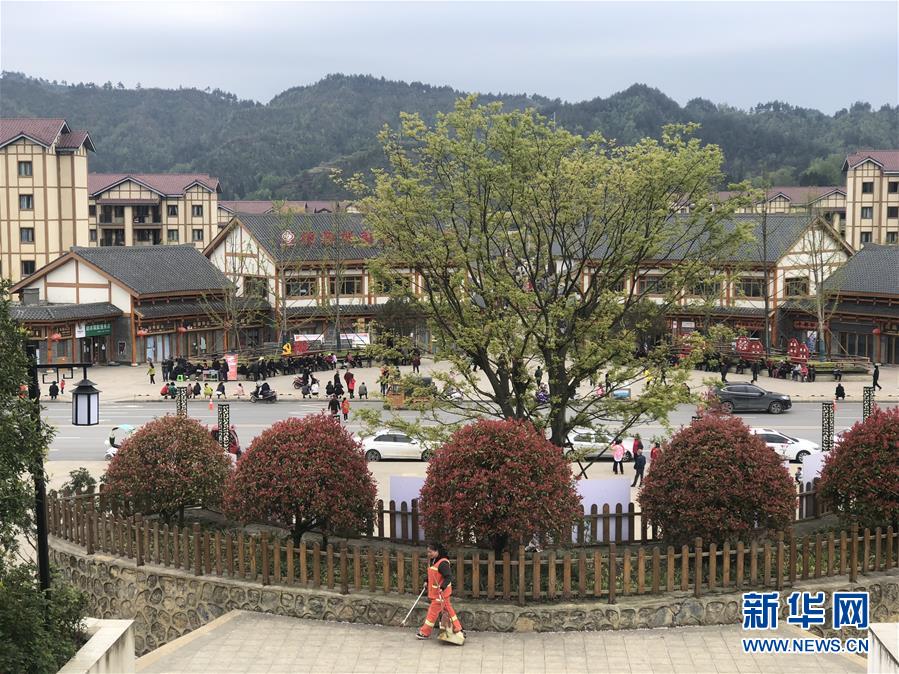 (圖文互動)(1)柏楊林的“樣板間”