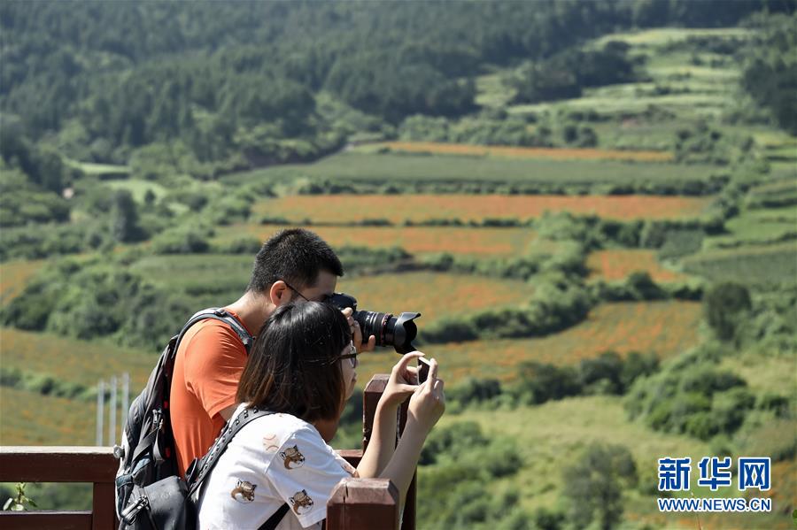 （圖文互動）（1）這座小城，鐫刻下怎樣的&ldquo;世園印記&rdquo;&mdash;&mdash;北京世園會開園一周年探訪延慶