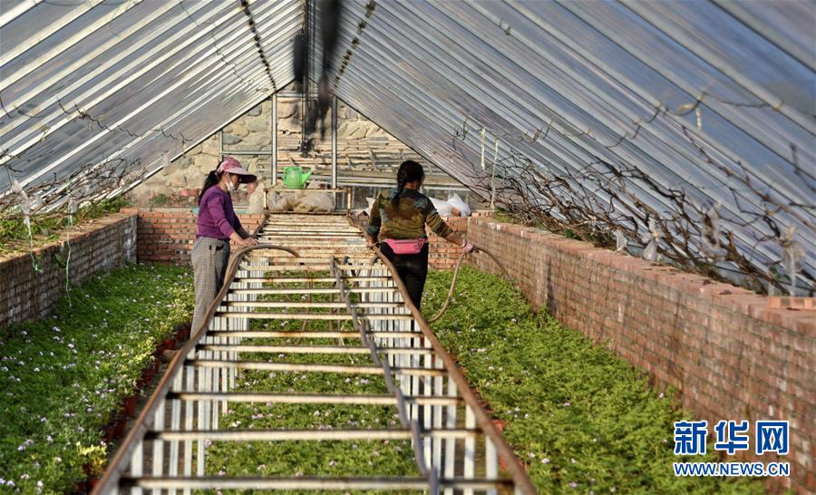 （圖文互動）（2）這座小城，鐫刻下怎樣的&ldquo;世園印記&rdquo;&mdash;&mdash;北京世園會開園一周年探訪延慶