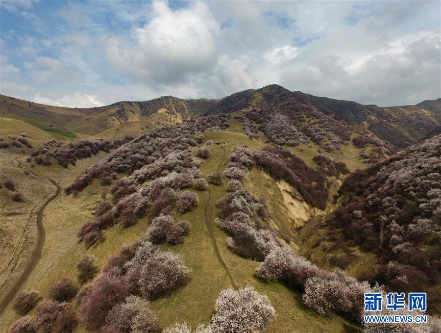 （圖文互動）（7）&ldquo;疫&rdquo;去客來會有時&mdash;&mdash;新疆伊犁河谷旅游市場漸暖見聞