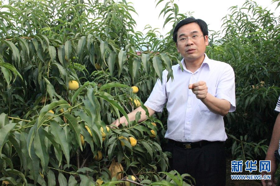 （圖文互動(dòng)）（2）&ldquo;為脫貧而來(lái)，為脫貧而去&rdquo;&mdash;&mdash;追記湖南炎陵縣委原書(shū)記黃詩(shī)燕 