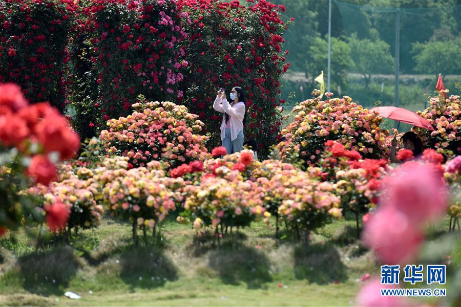 #（社會）（11）樂享&ldquo;五一&rdquo;假期