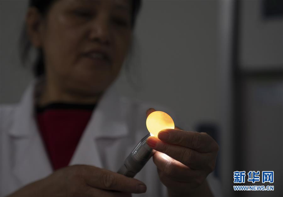 （決戰(zhàn)決勝脫貧攻堅(jiān)&middot;圖文互動(dòng)）（2）小鴿子帶來(lái)大希望&mdash;&mdash;河北阜平硒鴿產(chǎn)業(yè)&ldquo;飛翔&rdquo;記