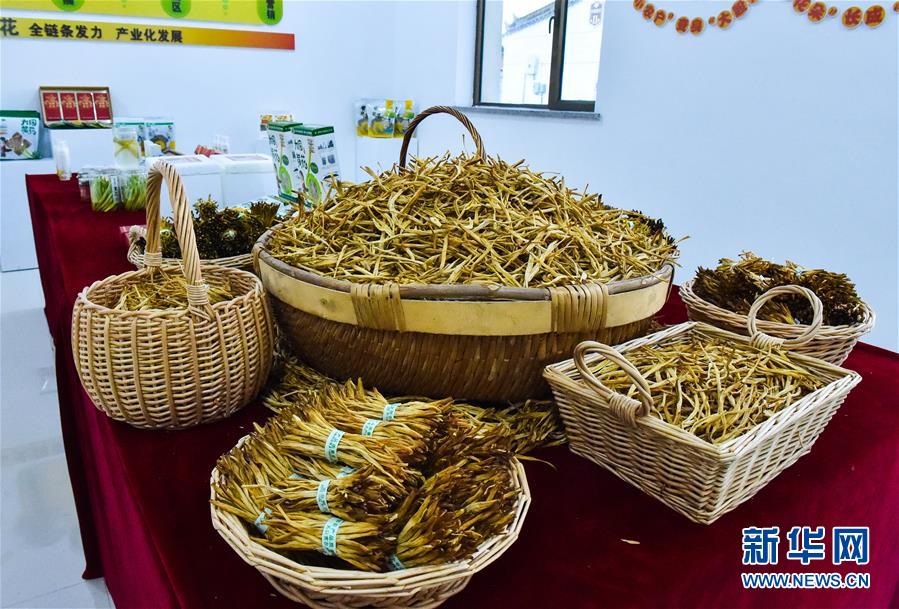 （新華全媒頭條&middot;圖文互動）（3）初夏，循著總書記的腳步探訪產(chǎn)業(yè)扶貧新事