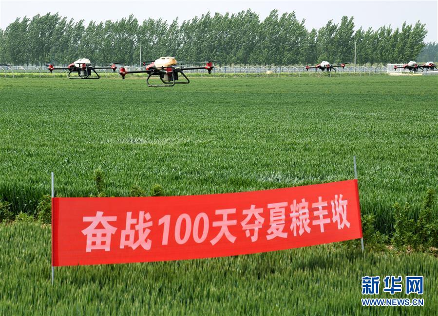 （在習(xí)近平新時(shí)代中國特色社會(huì)主義思想指引下&mdash;&mdash;新時(shí)代新作為新篇章&middot;習(xí)近平總書記關(guān)切事&middot;圖文互動(dòng)）（9）新農(nóng)事、新希望&mdash;&mdash;夏收前田間新動(dòng)態(tài)掃描