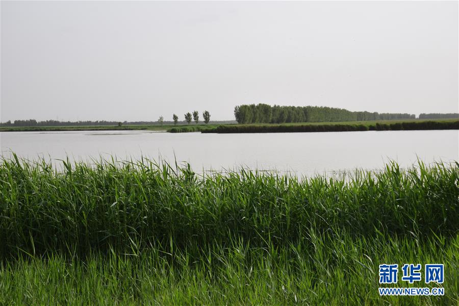 （圖文互動）（2）巡護員鏡頭下的&ldquo;京津綠肺&rdquo;變身記