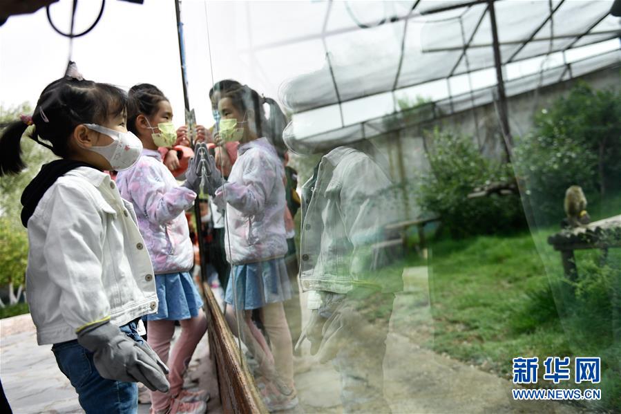 (圖文互動(dòng))(2)青海西寧:和野生動(dòng)物們共度“六一”