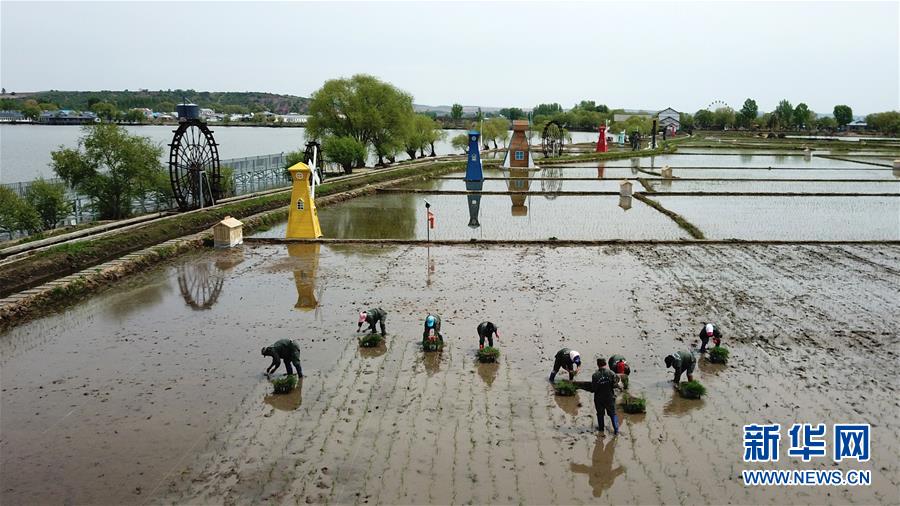 (在習(xí)近平新時代中國特色社會主義思想指引下——新時代新作為新篇章·習(xí)近平總書記關(guān)切事·圖文互動)(6)讓農(nóng)民挑上“金扁擔(dān)”——農(nóng)業(yè)現(xiàn)代化的生動實踐掃描